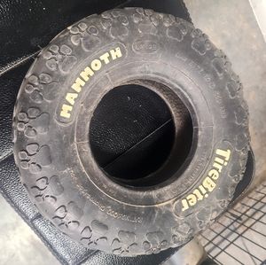 Dog Tire Toy